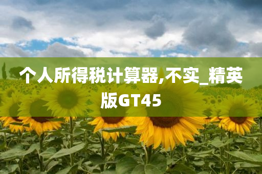 个人所得税计算器,不实_精英版GT45