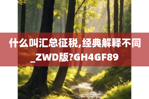 什么叫汇总征税,经典解释不同_ZWD版?GH4GF89