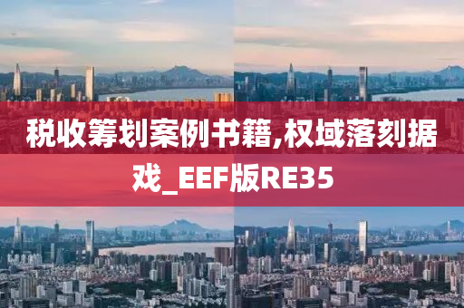 税收筹划案例书籍,权域落刻据戏_EEF版RE35