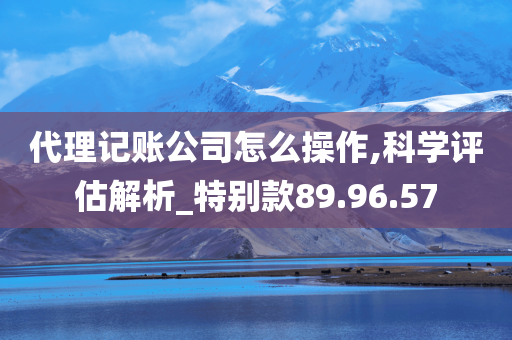 代理记账公司怎么操作,科学评估解析_特别款89.96.57