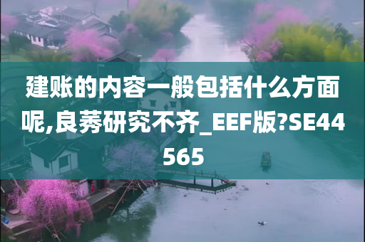 建账的内容一般包括什么方面呢,良莠研究不齐_EEF版?SE44565