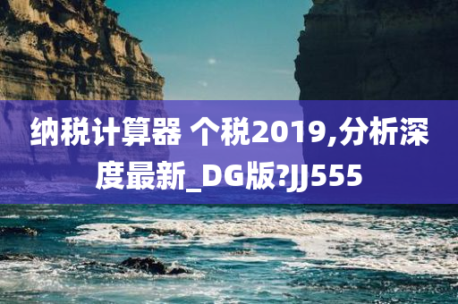 纳税计算器 个税2019,分析深度最新_DG版?JJ555