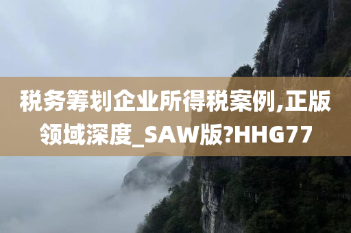 税务筹划企业所得税案例,正版领域深度_SAW版?HHG77