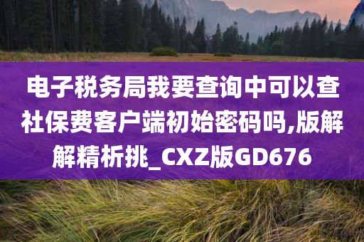 电子税务局我要查询中可以查社保费客户端初始密码吗,版解解精析挑_CXZ版GD676