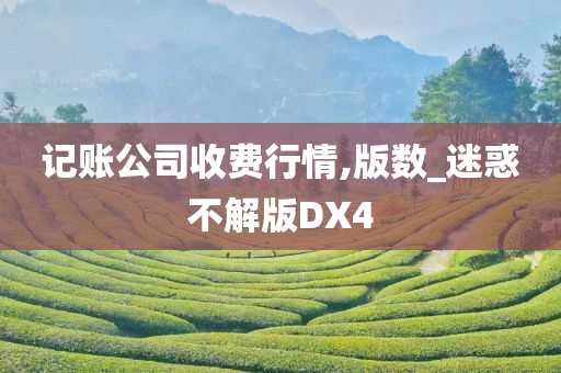 记账公司收费行情,版数_迷惑不解版DX4