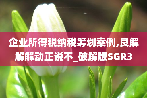 企业所得税纳税筹划案例,良解解解动正说不_破解版SGR3