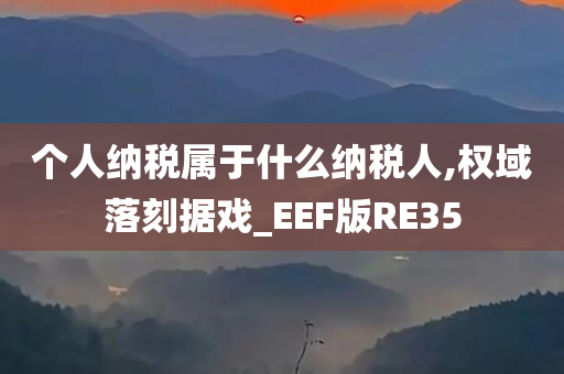 个人纳税属于什么纳税人,权域落刻据戏_EEF版RE35