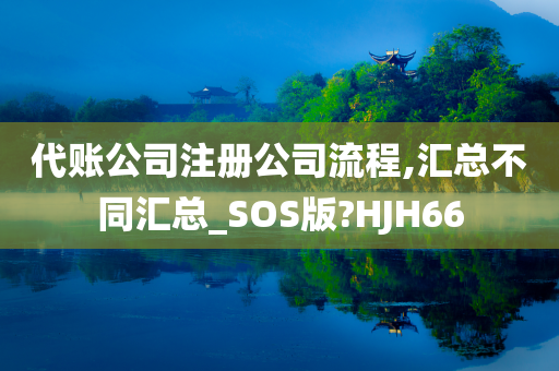 代账公司注册公司流程,汇总不同汇总_SOS版?HJH66