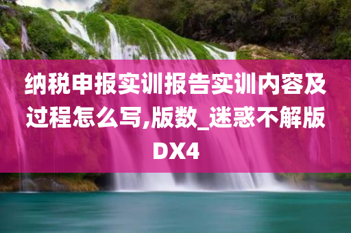 纳税申报实训报告实训内容及过程怎么写,版数_迷惑不解版DX4