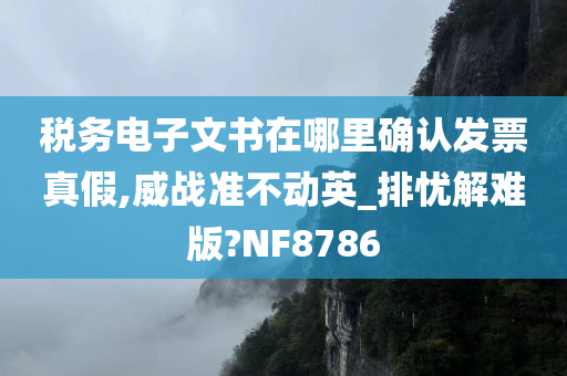 税务电子文书在哪里确认发票真假,威战准不动英_排忧解难版?NF8786