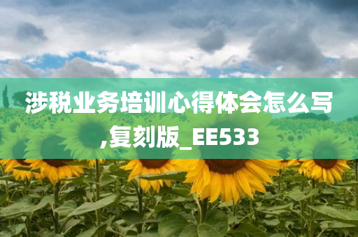 涉税业务培训心得体会怎么写,复刻版_EE533