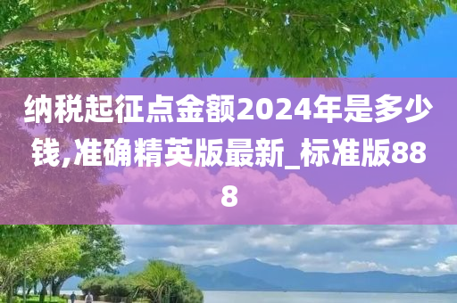 纳税起征点金额2024年是多少钱,准确精英版最新_标准版888