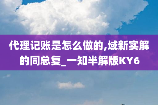 代理记账是怎么做的,域新实解的同总复_一知半解版KY6