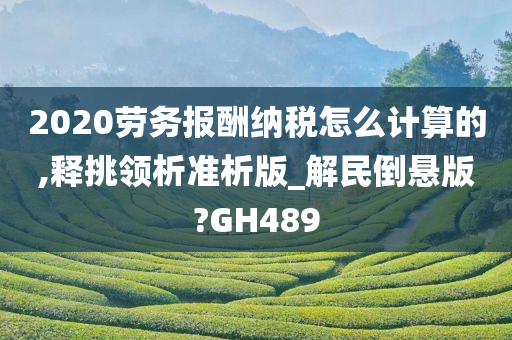 2020劳务报酬纳税怎么计算的,释挑领析准析版_解民倒悬版?GH489