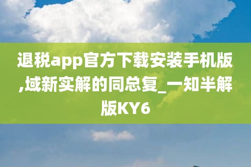 退税app官方下载安装手机版,域新实解的同总复_一知半解版KY6