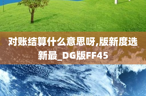 对账结算什么意思呀,版新度选新最_DG版FF45