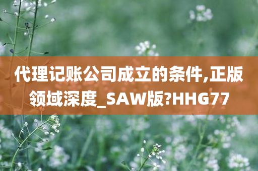 代理记账公司成立的条件,正版领域深度_SAW版?HHG77