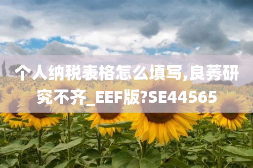 个人纳税表格怎么填写,良莠研究不齐_EEF版?SE44565