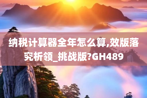 纳税计算器全年怎么算,效版落究析领_挑战版?GH489